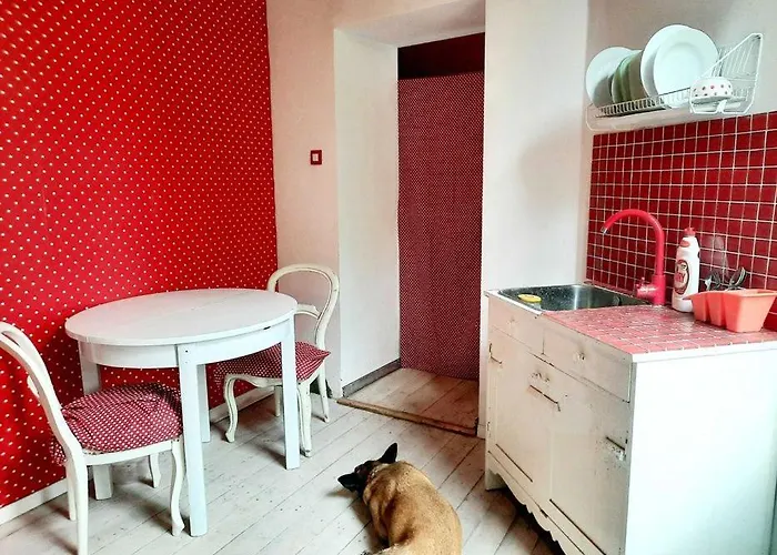 Apartmán Groszki I Roze Čenstochová